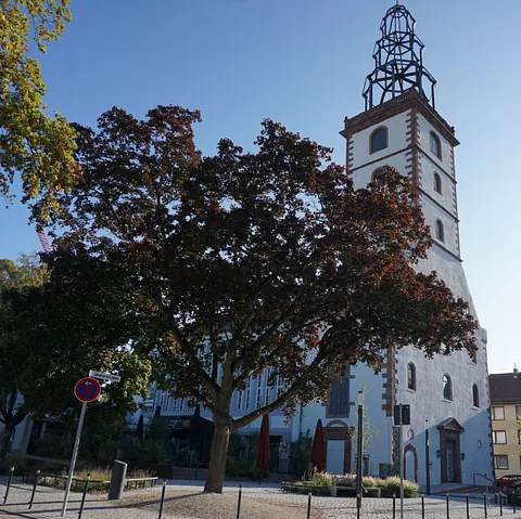 Alte Johanneskirche von außen im Sommer